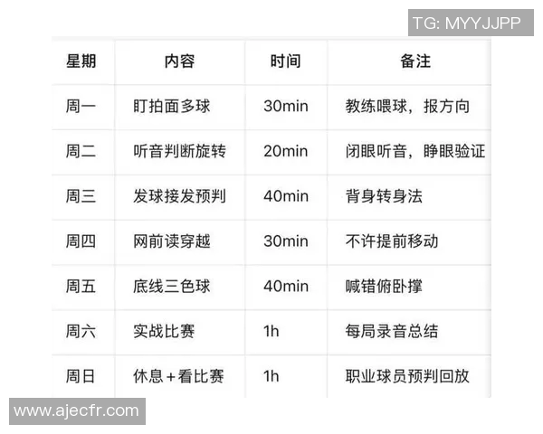 上海网球队全运会个人能力分析与表现评估