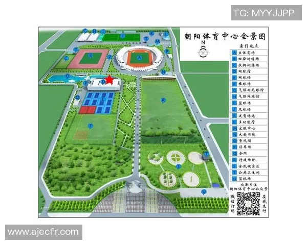 北京羽毛球队的包夹战术揭秘与深度分析