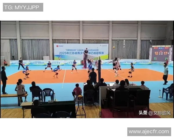 南京排球队荣登排球灵活性排行榜第一名引发热议