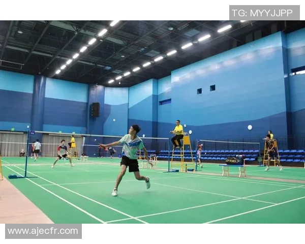 重庆羽毛球队在精英赛中的状态分析与表现评估 重庆羽毛球队在精英赛中的状态分析与表现评估