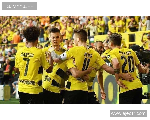 数据分析:深圳羽毛球队的实力表现 数据分析:深圳羽毛球队的实力表现