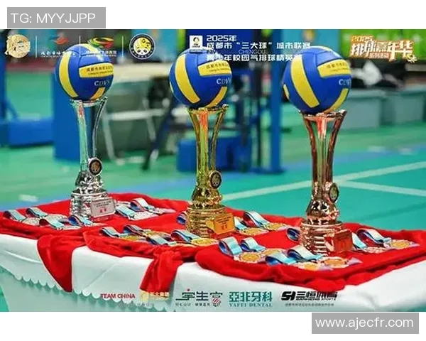 聚焦排球：成都排球队的技术话题