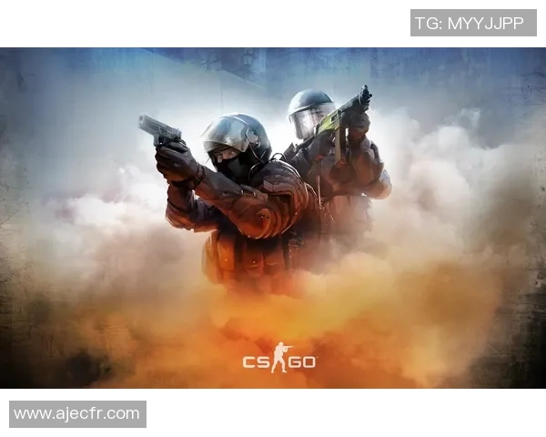 CS_GO纪实：记录V5的奋斗经历