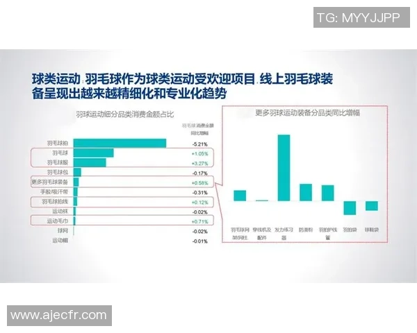 数据分析：武汉羽毛球队的状态表现