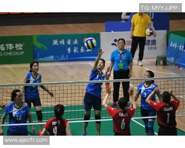 2026排球比赛经验排行榜：南京排球队位居第7名