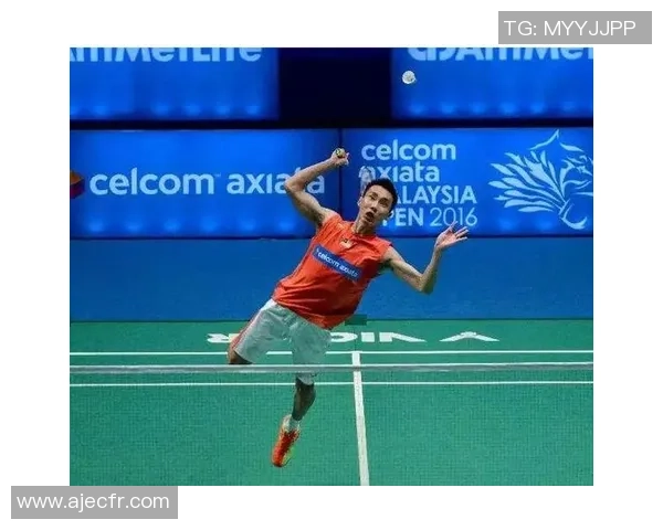 数据分析:南京羽毛球队的战术表现 数据分析:南京羽毛球队的战术表现