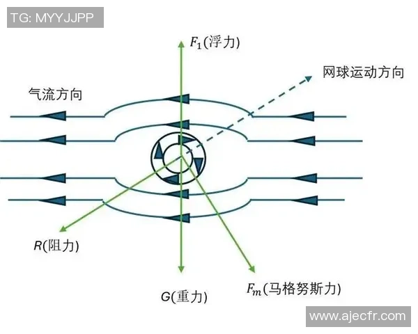从零开始：网球力量完全攻略