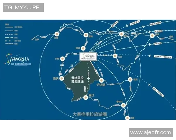 独家分析：成都网球队的速度对比