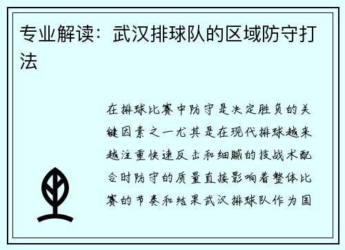 专业解读：武汉排球队的区域防守打法