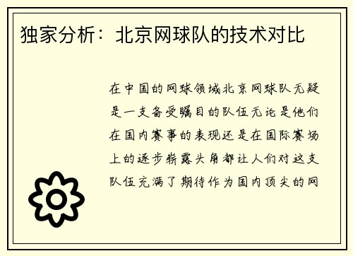 独家分析：北京网球队的技术对比