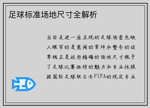 足球标准场地尺寸全解析