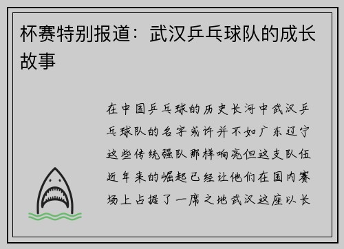 杯赛特别报道：武汉乒乓球队的成长故事