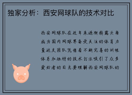 独家分析：西安网球队的技术对比
