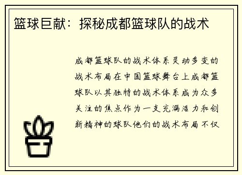 篮球巨献：探秘成都篮球队的战术